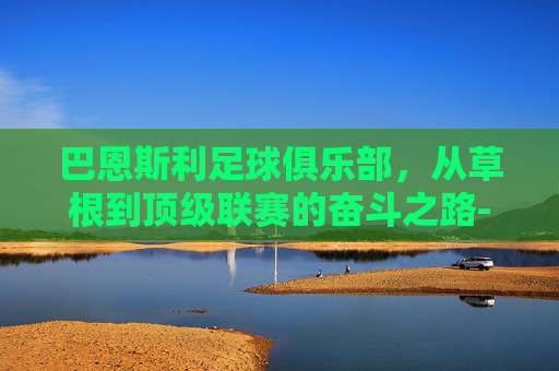 巴恩斯利足球俱乐部，从草根到顶级联赛的奋斗之路-巴恩斯利足球俱乐部官网
