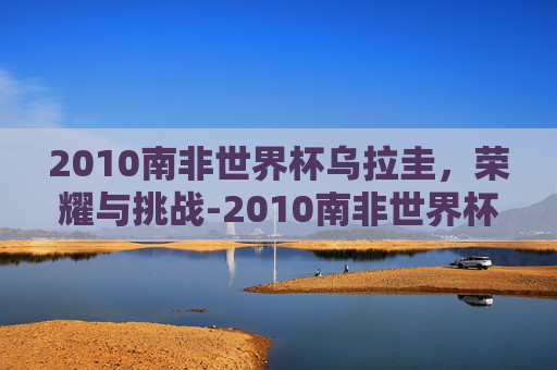 2010南非世界杯乌拉圭，荣耀与挑战-2010南非世界杯乌拉圭vs加纳