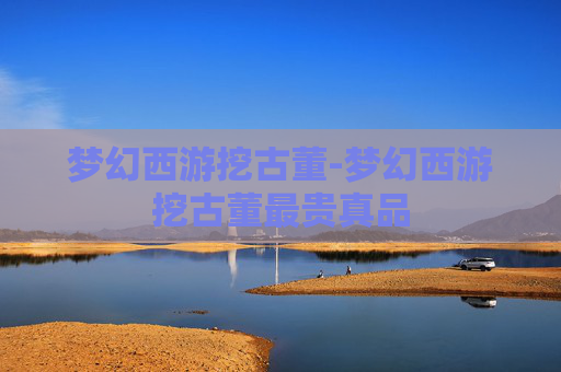 梦幻西游挖古董-梦幻西游挖古董最贵真品