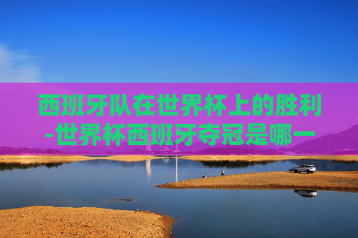 西班牙队在世界杯上的胜利-世界杯西班牙夺冠是哪一年