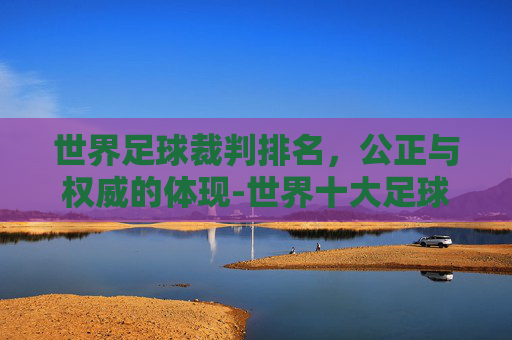 世界足球裁判排名，公正与权威的体现-世界十大足球裁判