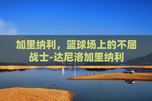 加里纳利，篮球场上的不屈战士-达尼洛加里纳利