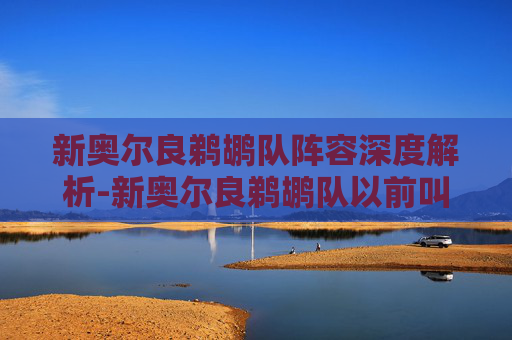 新奥尔良鹈鹕队阵容深度解析-新奥尔良鹈鹕队以前叫什么队?
