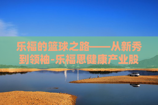乐福的篮球之路——从新秀到领袖-乐福思健康产业股份公司