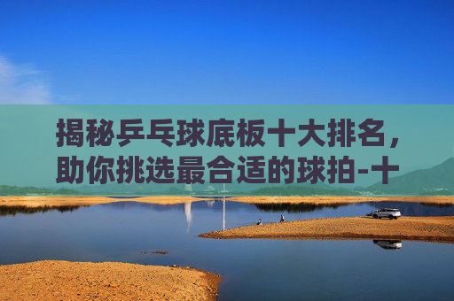 揭秘乒乓球底板十大排名，助你挑选最合适的球拍-十大乒乓球底板排名榜