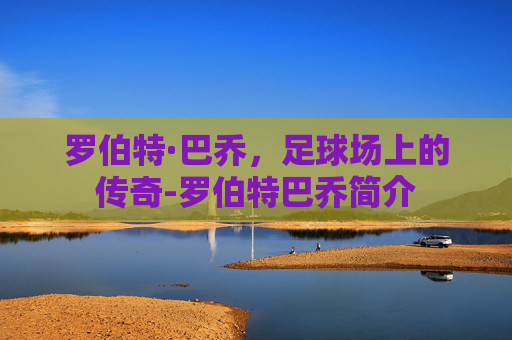 罗伯特·巴乔，足球场上的传奇-罗伯特巴乔简介