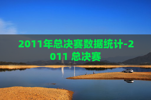 2011年总决赛数据统计-2011 总决赛