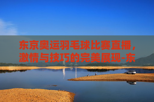 东京奥运羽毛球比赛直播，激情与技巧的完美展现-东京奥运羽毛球比赛直播回放