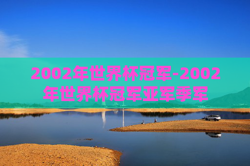 2002年世界杯冠军-2002年世界杯冠军亚军季军