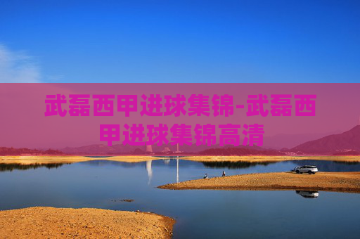 武磊西甲进球集锦-武磊西甲进球集锦高清