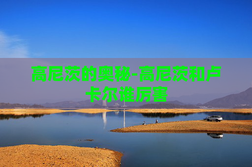 高尼茨的奥秘-高尼茨和卢卡尔谁厉害