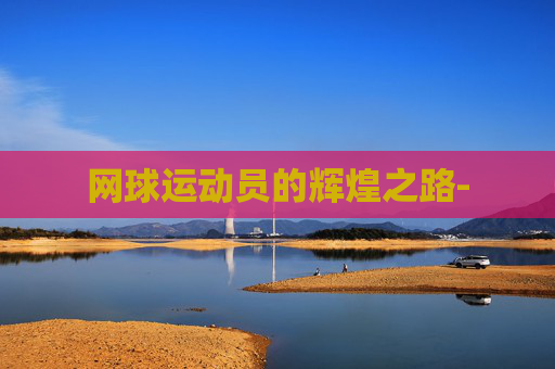 网球运动员的辉煌之路-