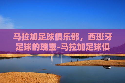马拉加足球俱乐部，西班牙足球的瑰宝-马拉加足球俱乐部老板