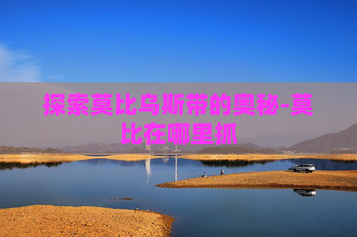 探索莫比乌斯带的奥秘-莫比在哪里抓