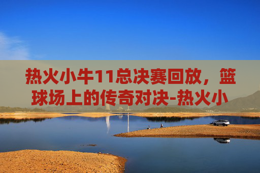 热火小牛11总决赛回放，篮球场上的传奇对决-热火小牛11总决赛比分