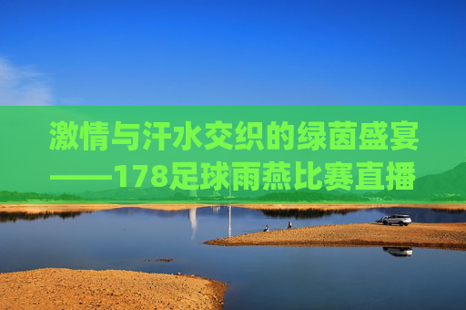 激情与汗水交织的绿茵盛宴——178足球雨燕比赛直播-乐球直播(无插件)
