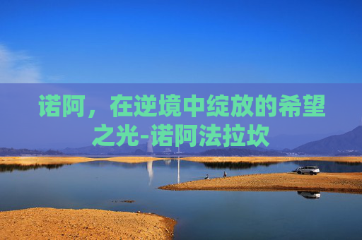 诺阿，在逆境中绽放的希望之光-诺阿法拉坎