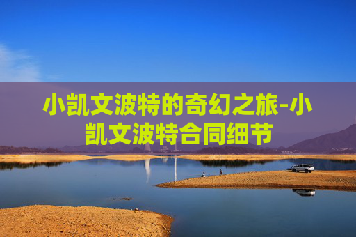 小凯文波特的奇幻之旅-小凯文波特合同细节