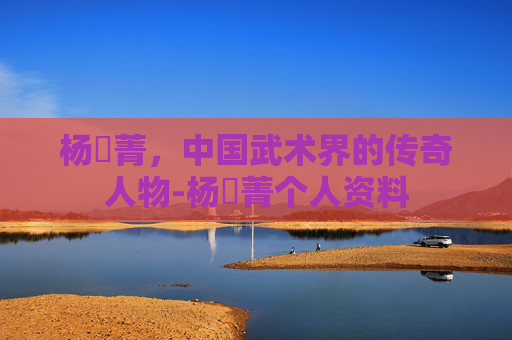 杨珺菁，中国武术界的传奇人物-杨珺菁个人资料