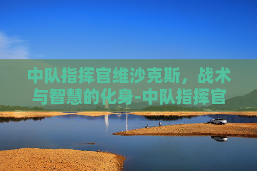 中队指挥官维沙克斯，战术与智慧的化身-中队指挥官维沙克斯在哪