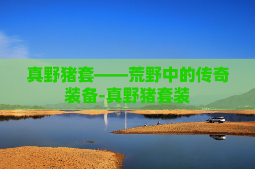 真野猪套——荒野中的传奇装备-真野猪套装
