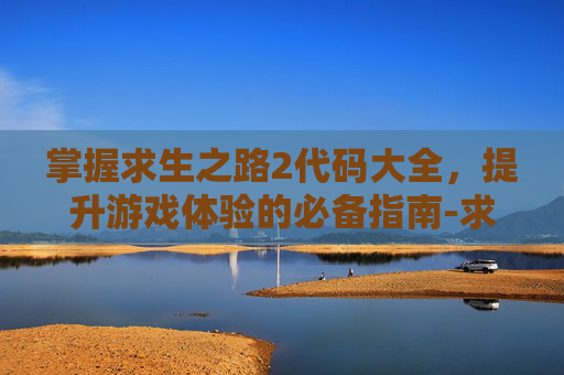 掌握求生之路2代码大全，提升游戏体验的必备指南-求生之路代码大全无限子弹