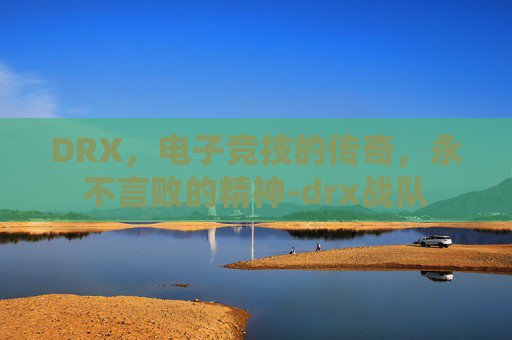 DRX，电子竞技的传奇，永不言败的精神-drx战队
