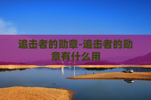 追击者的勋章-追击者的勋章有什么用