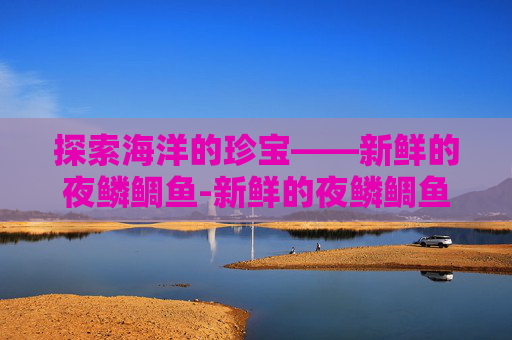 探索海洋的珍宝——新鲜的夜鳞鲷鱼-新鲜的夜鳞鲷鱼在哪钓
