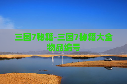 三国7秘籍-三国7秘籍大全物品编号