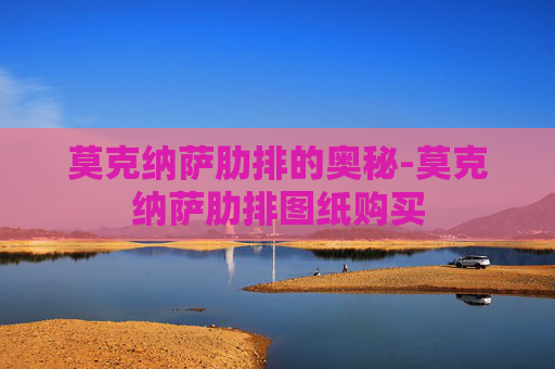 莫克纳萨肋排的奥秘-莫克纳萨肋排图纸购买