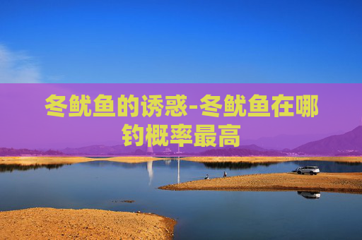 冬鱿鱼的诱惑-冬鱿鱼在哪钓概率最高