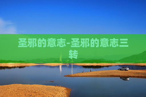 圣邪的意志-圣邪的意志三转