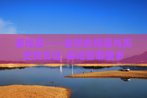 墓地苔——自然的低语与历史的见证-墓地苔哪里多