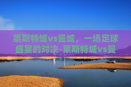 莱斯特城vs曼城，一场足球盛宴的对决-莱斯特城vs曼城结果
