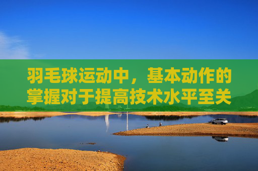 羽毛球运动中，基本动作的掌握对于提高技术水平至关重要。以下是羽毛球十二个基本动作的介绍，-羽毛球十二个基本动作是什么