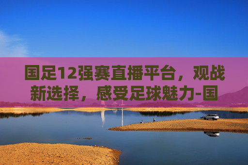 国足12强赛直播平台，观战新选择，感受足球魅力-国足十二强现场直播