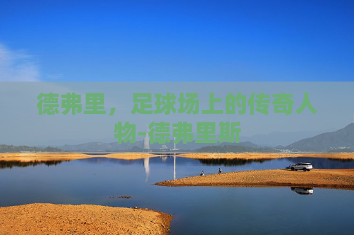 德弗里，足球场上的传奇人物-德弗里斯