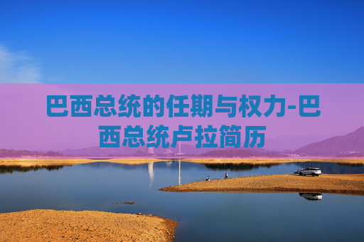 巴西总统的任期与权力-巴西总统卢拉简历