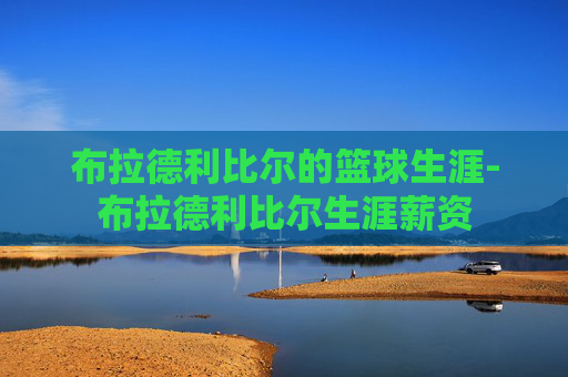 布拉德利比尔的篮球生涯-布拉德利比尔生涯薪资