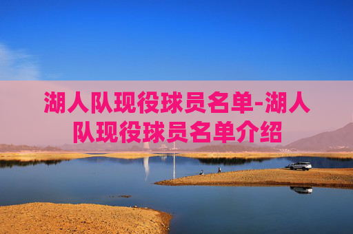湖人队现役球员名单-湖人队现役球员名单介绍
