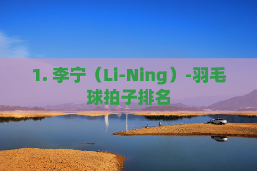 1. 李宁（Li-Ning）-羽毛球拍子排名