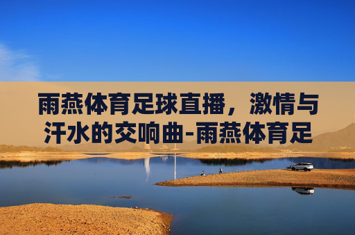 雨燕体育足球直播，激情与汗水的交响曲-雨燕体育足球直播免费观看