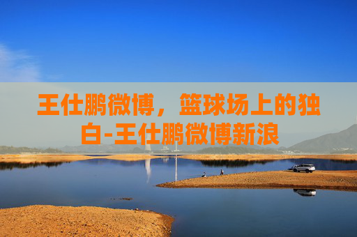 王仕鹏微博，篮球场上的独白-王仕鹏微博新浪