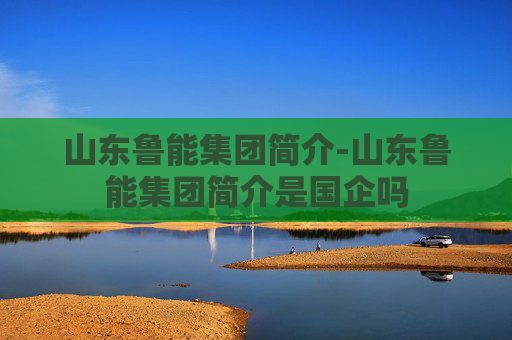 山东鲁能集团简介-山东鲁能集团简介是国企吗