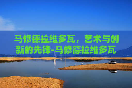 马修德拉维多瓦，艺术与创新的先锋-马修德拉维多瓦年薪