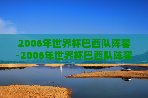 2006年世界杯巴西队阵容-2006年世界杯巴西队阵容对阵