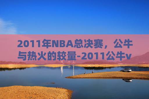 2011年NBA总决赛，公牛与热火的较量-2011公牛vs热火全场回放