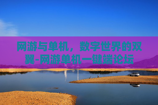 网游与单机，数字世界的双翼-网游单机一键端论坛