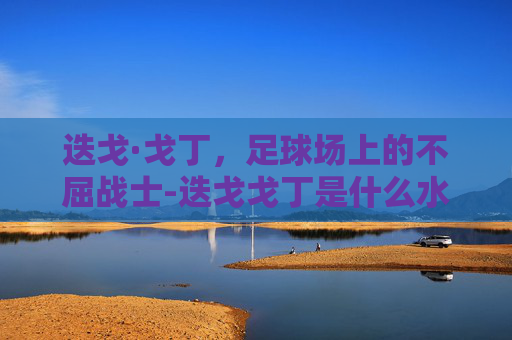 迭戈·戈丁，足球场上的不屈战士-迭戈戈丁是什么水平的后卫